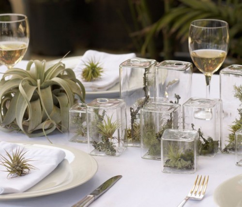using-mini-terrariums-in-interior-decorating-4-500x428.jpg