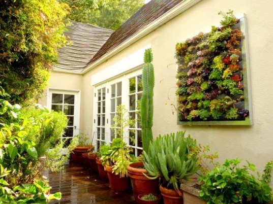 uzplanters-537x402.jpg