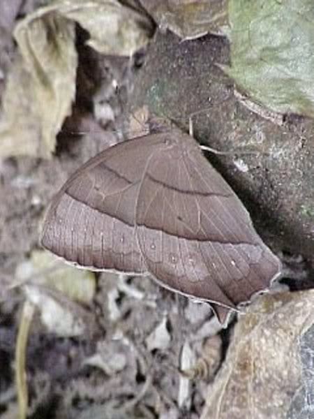 v100_3565.jpg