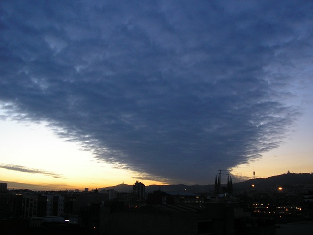 V_007.jpg