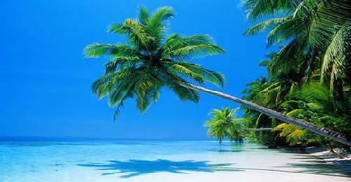 vacaciones-en-el-caribe.jpg
