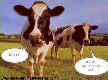 vacas.jpg