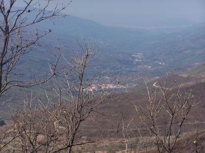 valle%20del%20jerte.jpg