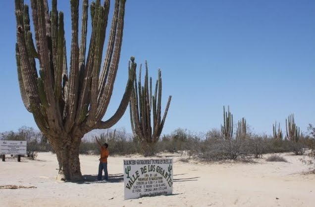 valle+de+los+gigantes.jpg