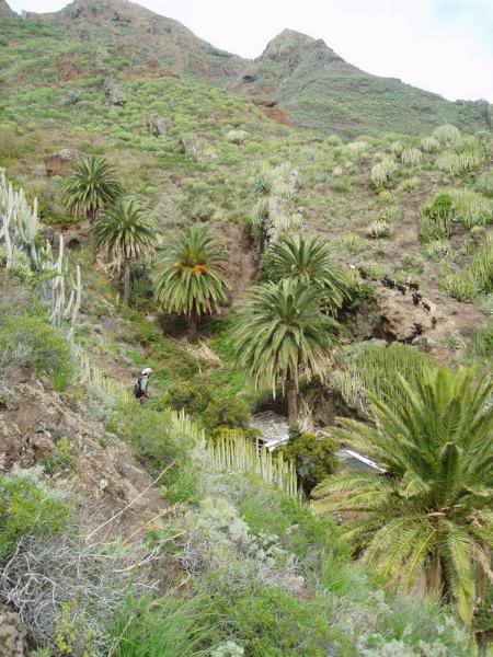 ValledeLasPalmasvistasAbicor3112008.jpg