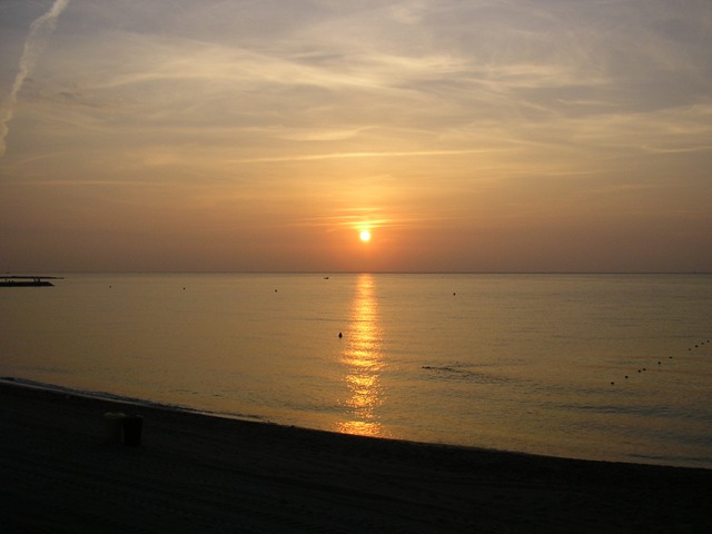 Vallp_004.jpg
