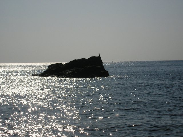 Vallp_039.jpg
