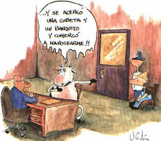 vaquita.jpg