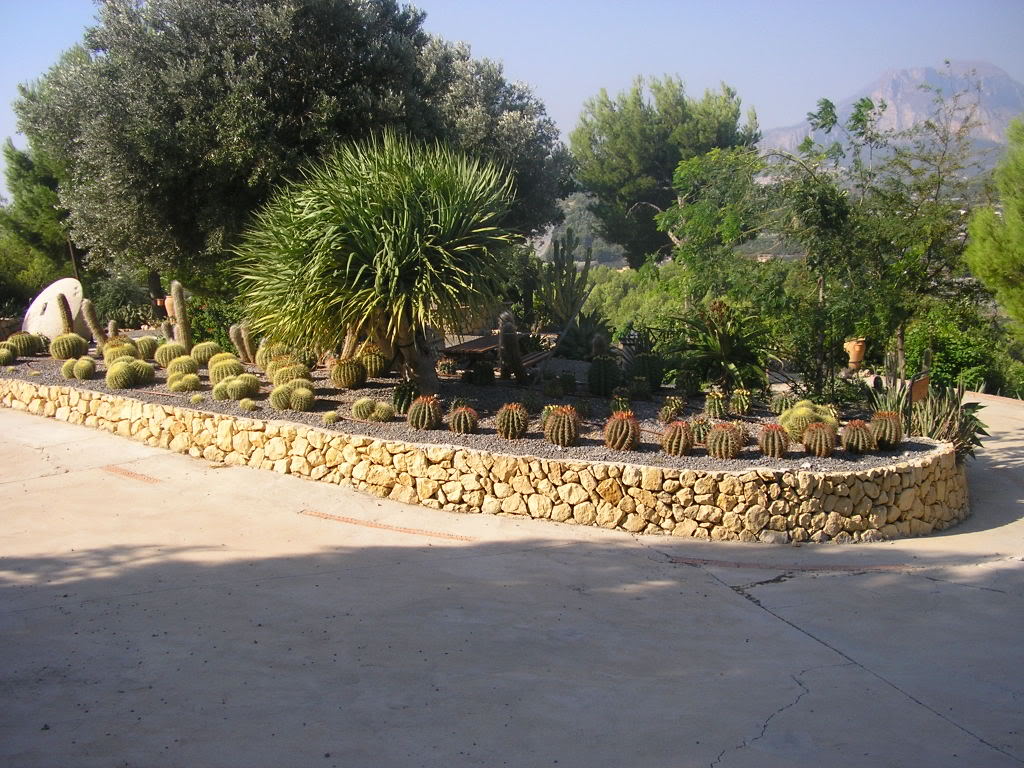 varias109.jpg