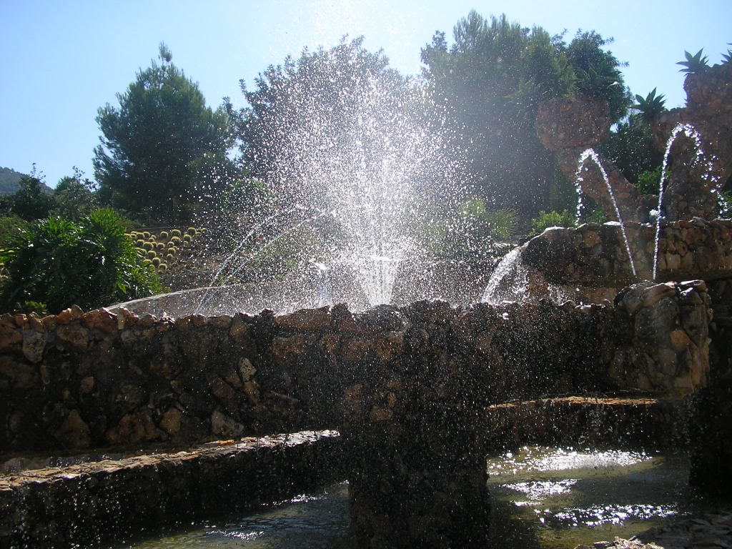 varias113.jpg