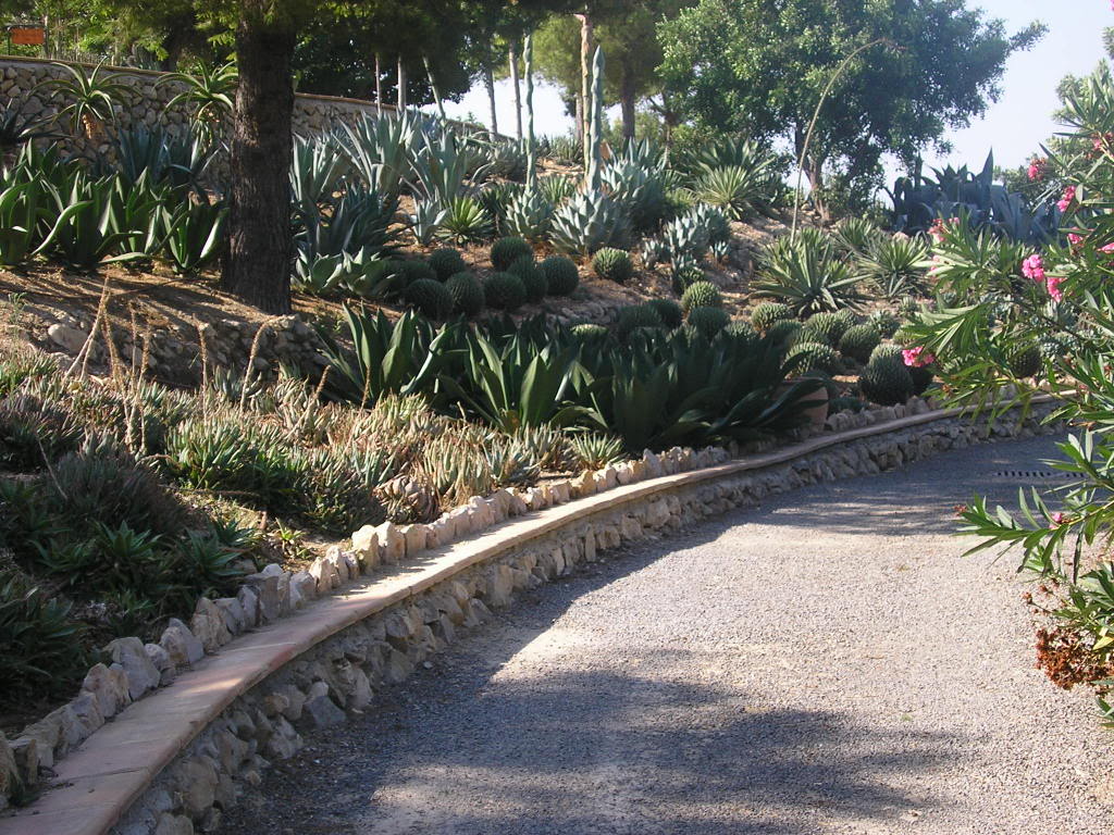 varias157.jpg