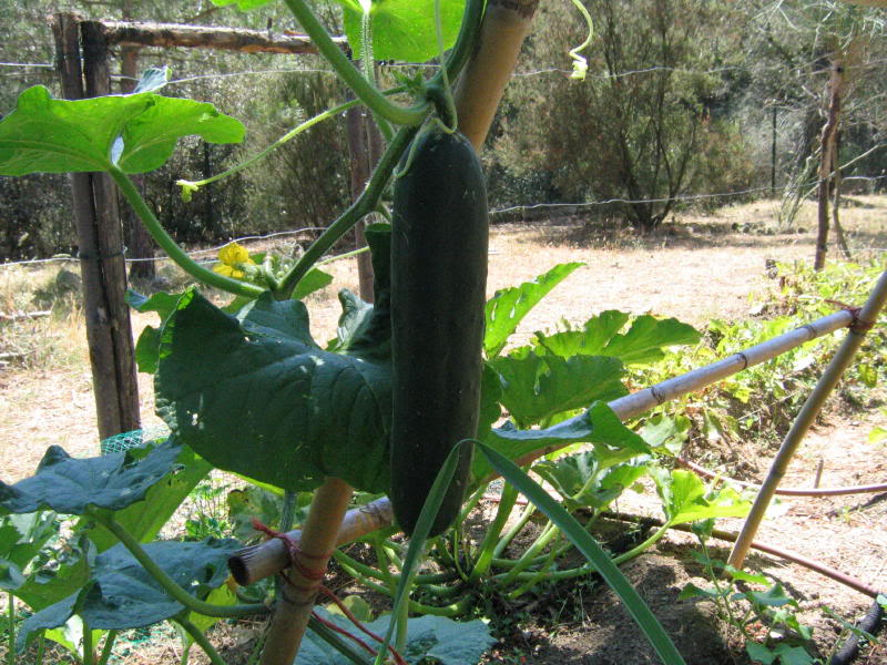 varios2005_0015_1.jpg