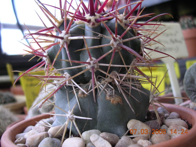 Varios_1_015.jpg