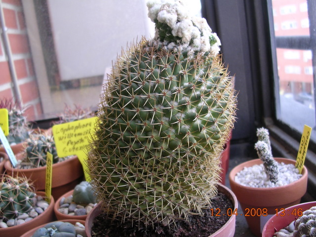 Varios_2_011.jpg