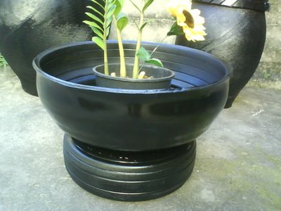vaso%252Bpneus%252Bde%252Bavi%2525C3%2525A3o.jpg