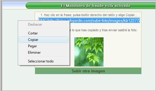vdi9ae.jpg