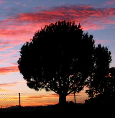 vegaatardecer241005.jpg