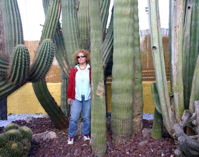 vegacactusherradura.jpg