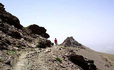 vegammsierranevada.jpg
