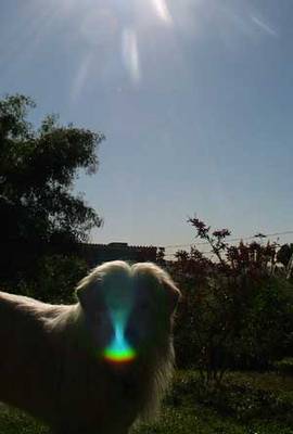 vegapepoeclipse.jpg