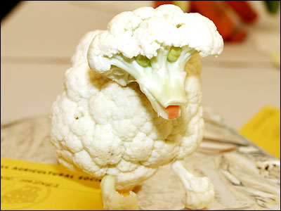 vegetable_to_animal_03_400x300.jpg