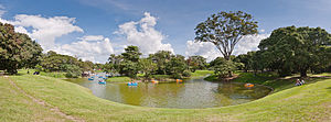 -Venezuela_-_Caracas_-_Parque_del_Este_%2858%29-Venezuela_-_Caracas_-_Parque_del_Este_%2872%29-4.jpg