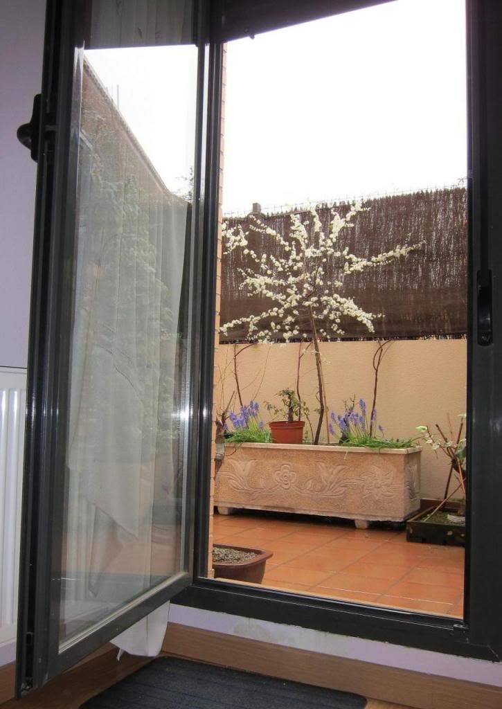 ventana.jpg