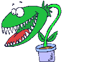 venus-flytrap-1.gif