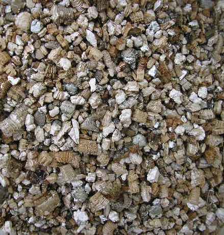 vermiculita.jpg