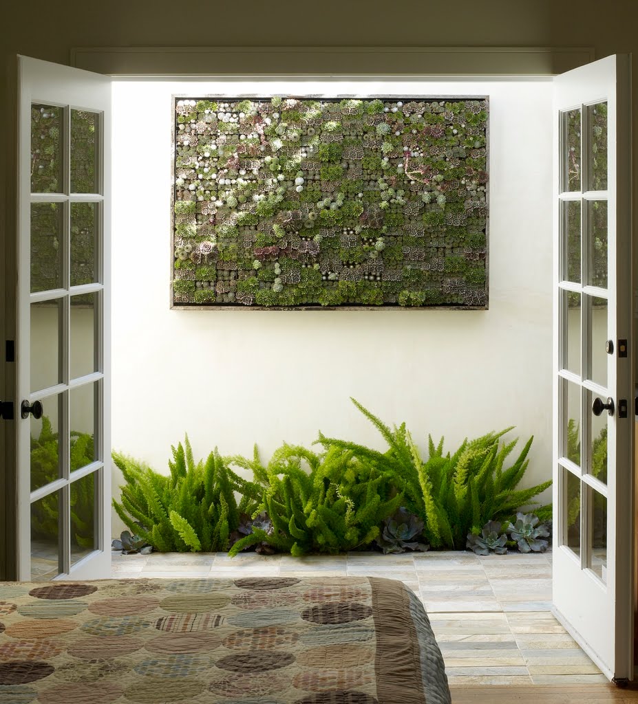 vertical-succulent-garden-at-ames-cottage.jpg