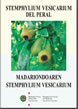 Vesicarium.jpg