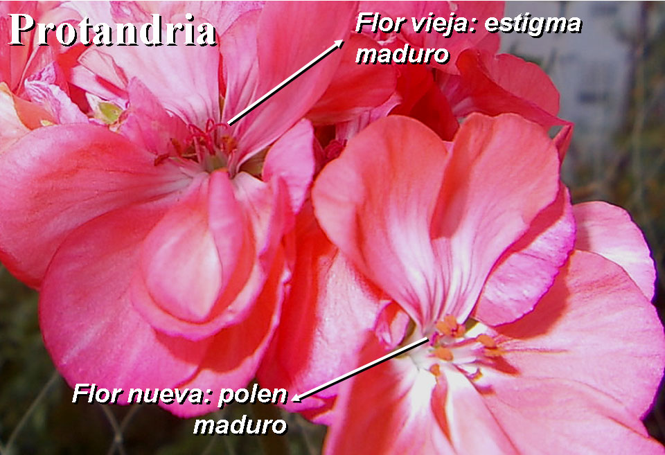VFi78IH.jpg