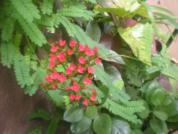 vi_5354_4288386_226053.jpg
