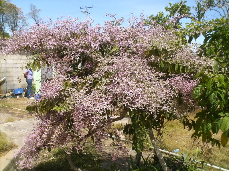 viajeacaripe006.jpg