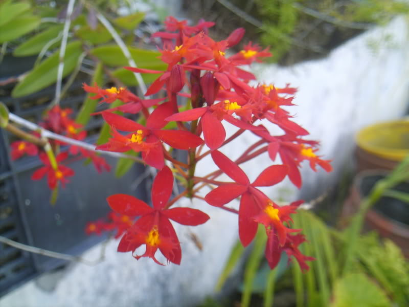 viajeacaripe008.jpg