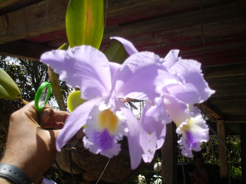 viajeacaripe043.jpg