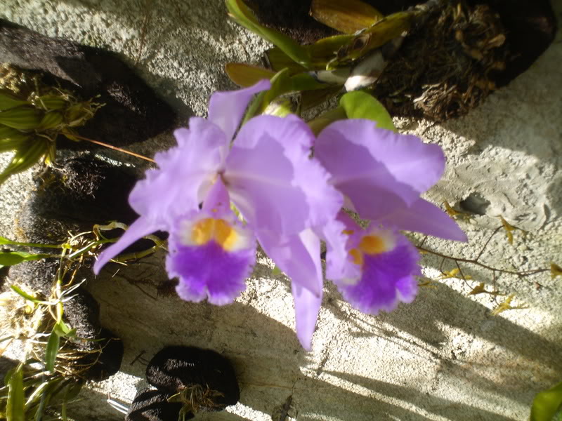 viajeacaripe065.jpg