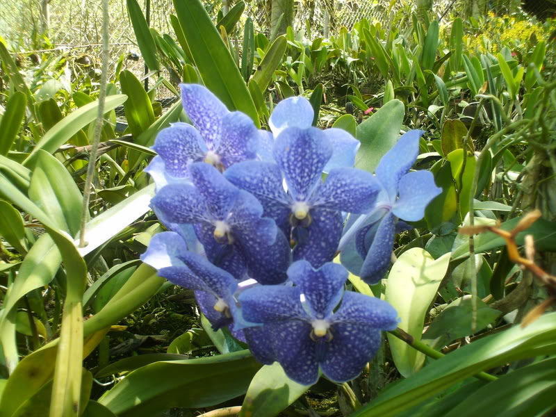 viajeacaripe081.jpg