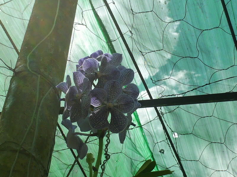 viajeacaripe083.jpg