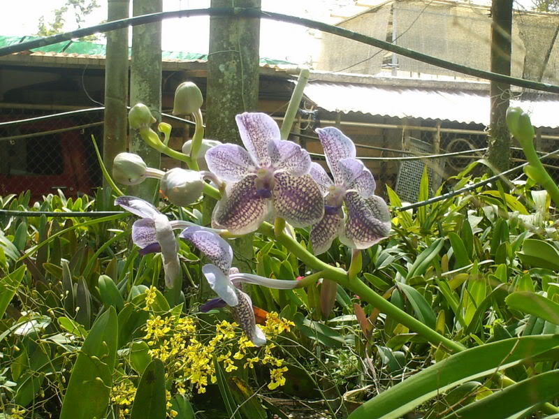 viajeacaripe084.jpg