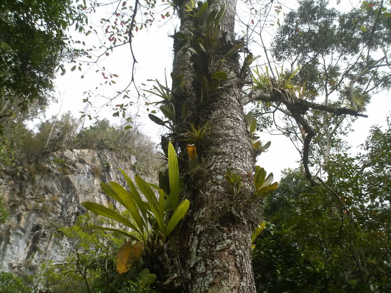 viajeacaripe107.jpg