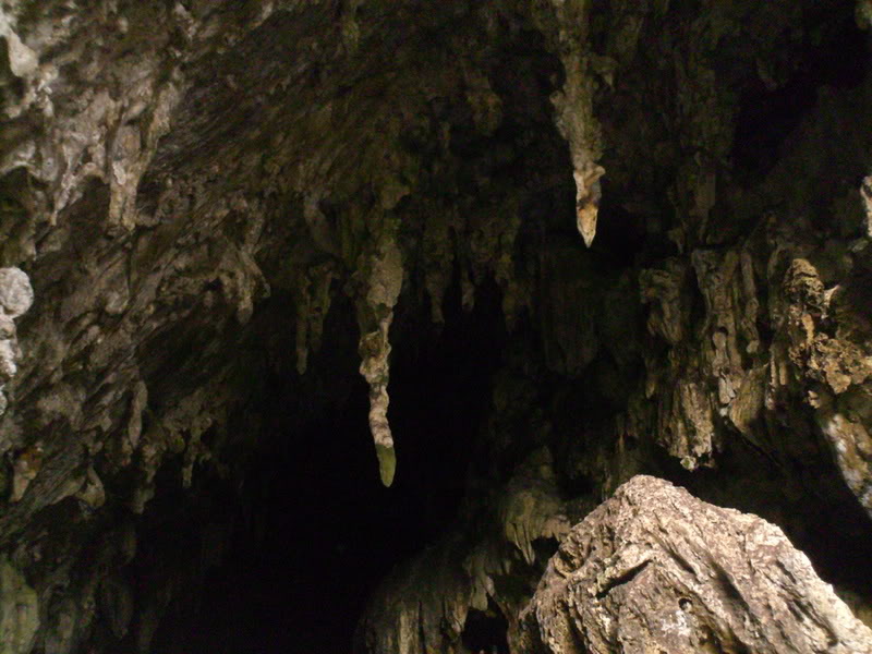 viajeacaripe111.jpg