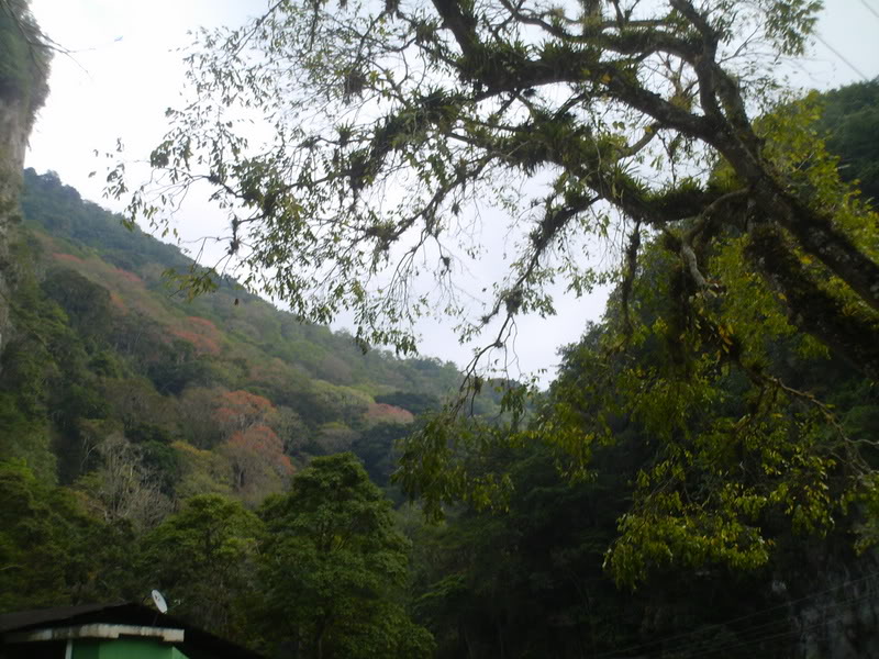 viajeacaripe120.jpg