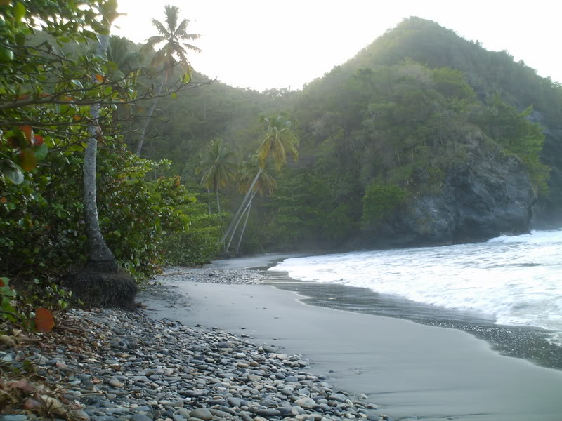 viajeapuertoviejo083.jpg