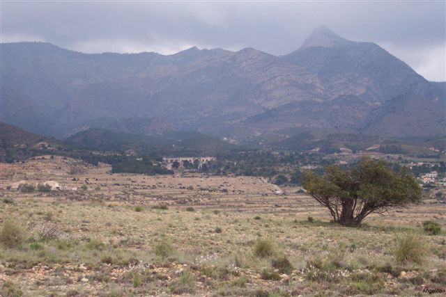 vidre05.jpg