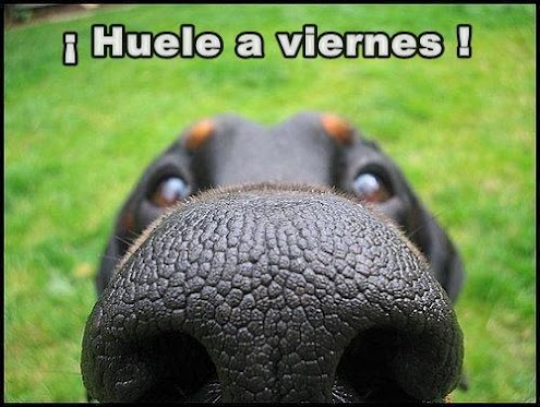 viernes4.jpg