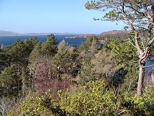 viewnorth.jpg