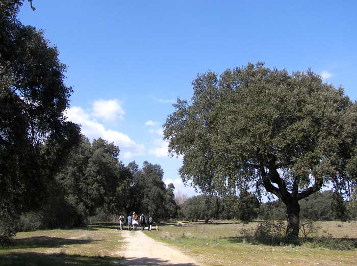villafranca.jpg