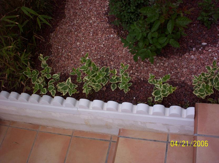 Vincas.JPG