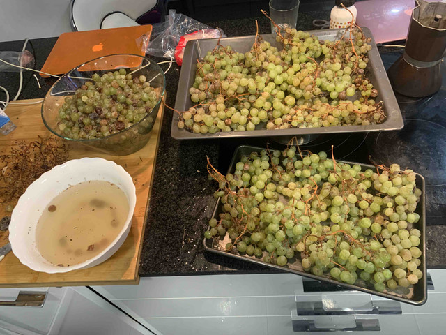 vino-moscatel01.jpg
